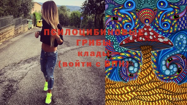 не бодяженный Алзамай