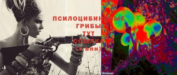2c-b Алексин