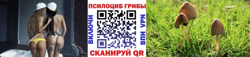 Псилоцибиновые грибы Cubensis  где найти наркотики  Чадан 